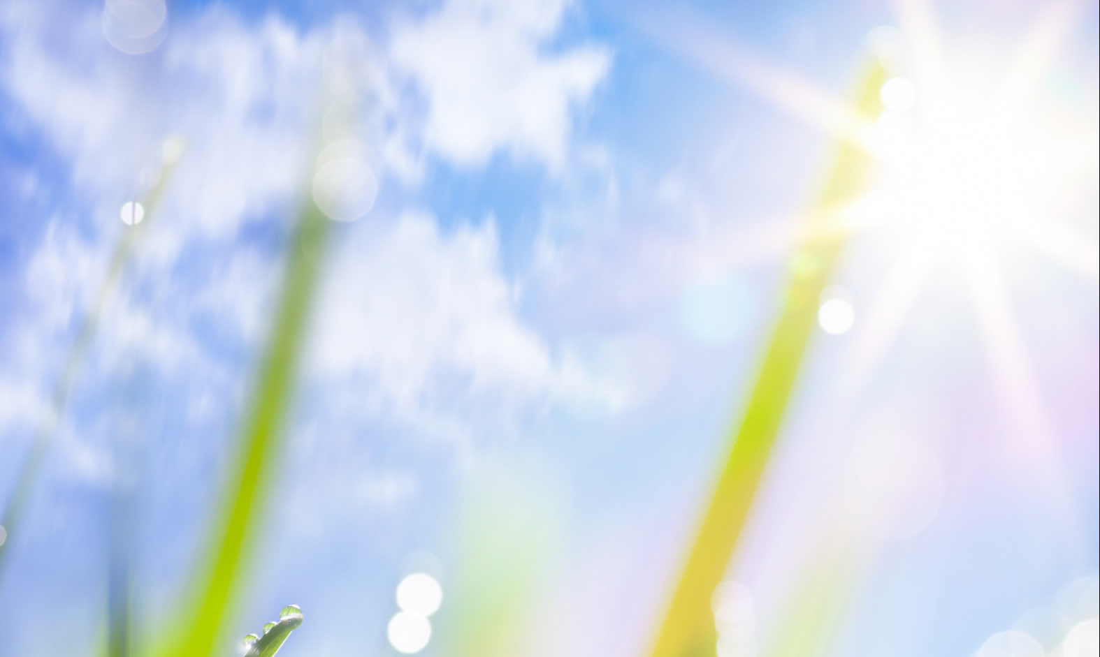 福美欣服藥注意，他克莫司膠囊用藥注意