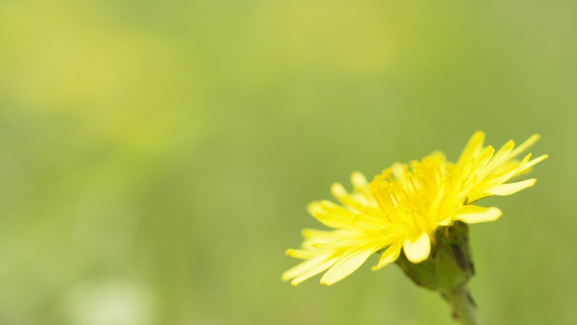 魚鱗病注意事項,參歸潤燥搽劑使用注意什么