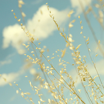 他克莫司膠囊用藥注意，他克莫司膠囊禁忌