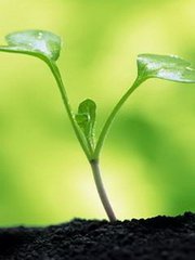 伊索佳飲食注意，骨關節炎的飲食禁忌 