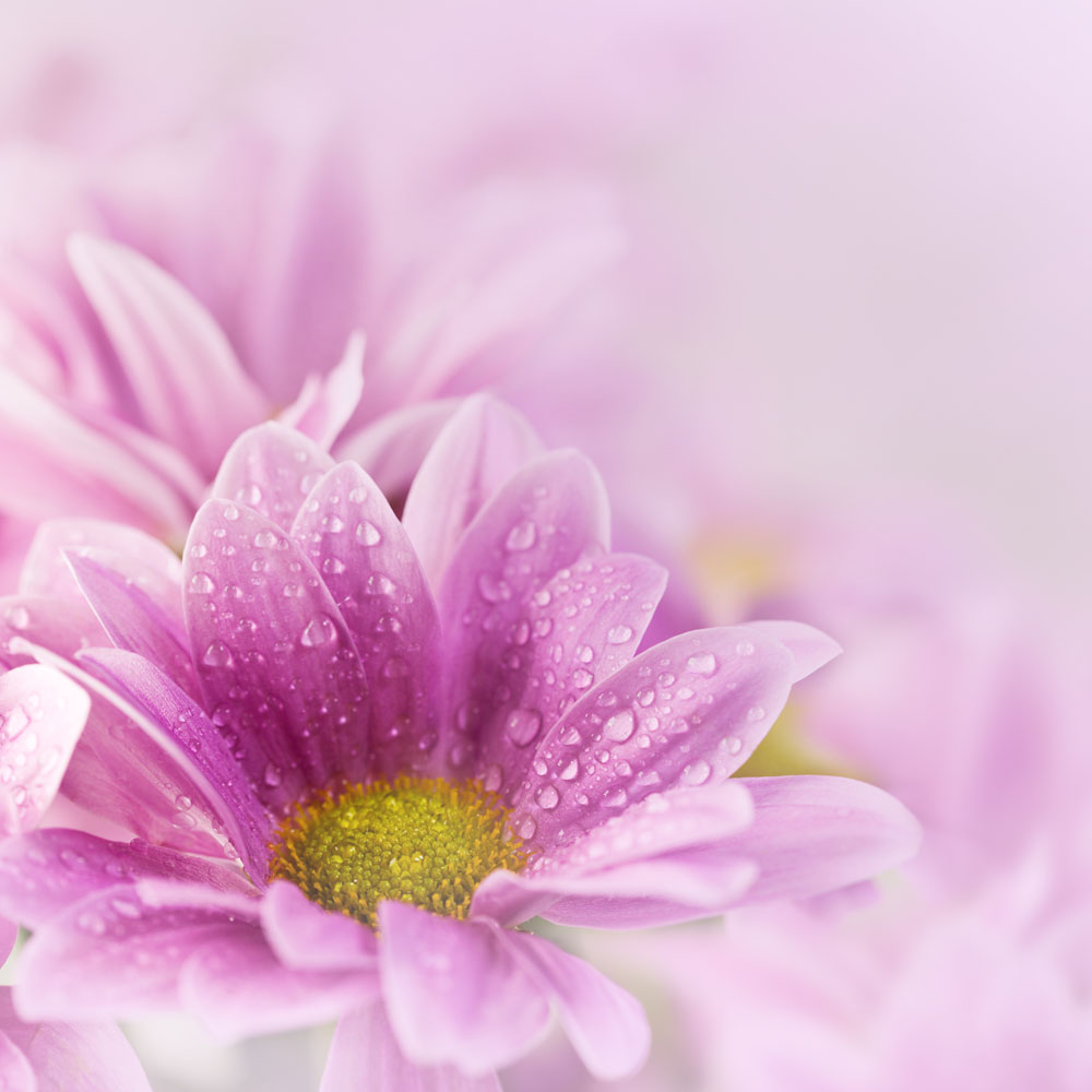 奧利司他減肥效果如何，艾麗減肥藥效果怎么樣