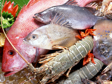 痛風(fēng)病食物,風(fēng)定寧使用療程服用