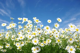 伊索佳硫酸氨基葡萄糖膠囊副作用，服用伊索佳注意事項(xiàng)