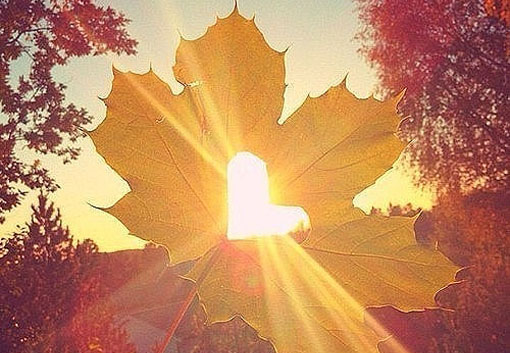 伊索佳硫酸氨基葡萄糖膠囊副作用，服用伊索佳注意事項