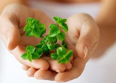 股骨頭壞死的治療,什么是股骨頭壞死