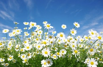 福美欣服藥注意，他克莫司膠囊有副作用嗎