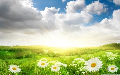 參歸潤燥搽劑要用甘油嗎，參歸潤燥搽劑療程