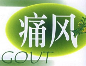 非布司他片，痛風吃什么藥好得快