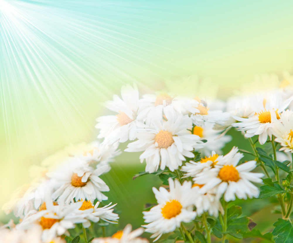 魚鱗病飲食注意什么，參歸潤燥搽劑使用注意事項