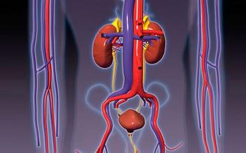 風定寧片價格,風定寧哪里有賣