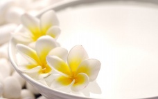 參歸潤燥搽劑使用注意什么，參歸潤燥搽劑要用甘油嗎