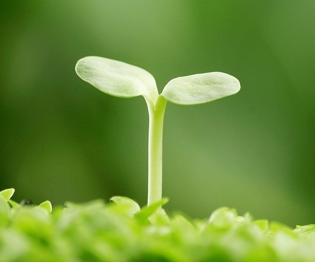 風定寧怎么用，風定寧需要加量嗎