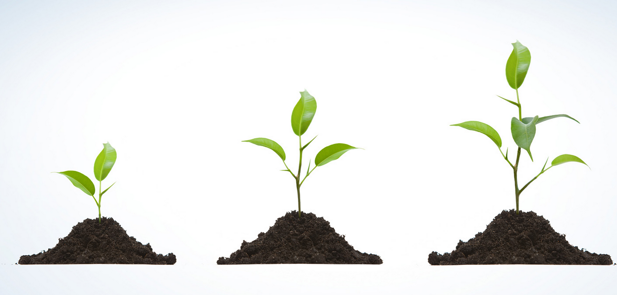 痛風吃什么藥，痛風吃什么藥效果最好