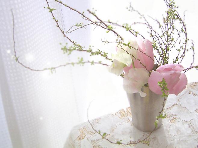 邁之靈怎么樣，邁之靈片作用