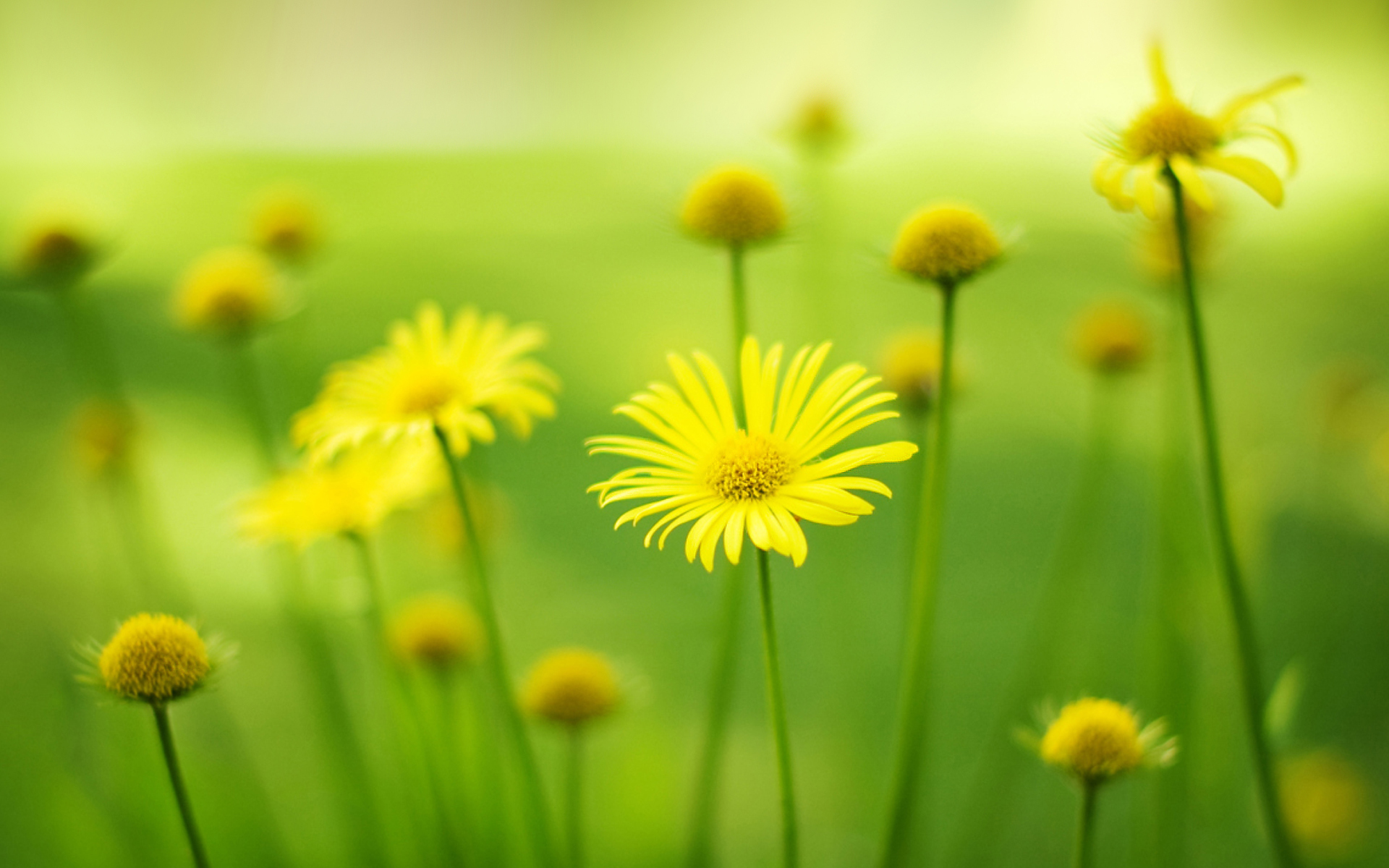 阿斯美效果怎么樣，復方甲氧那明膠囊怎么服用