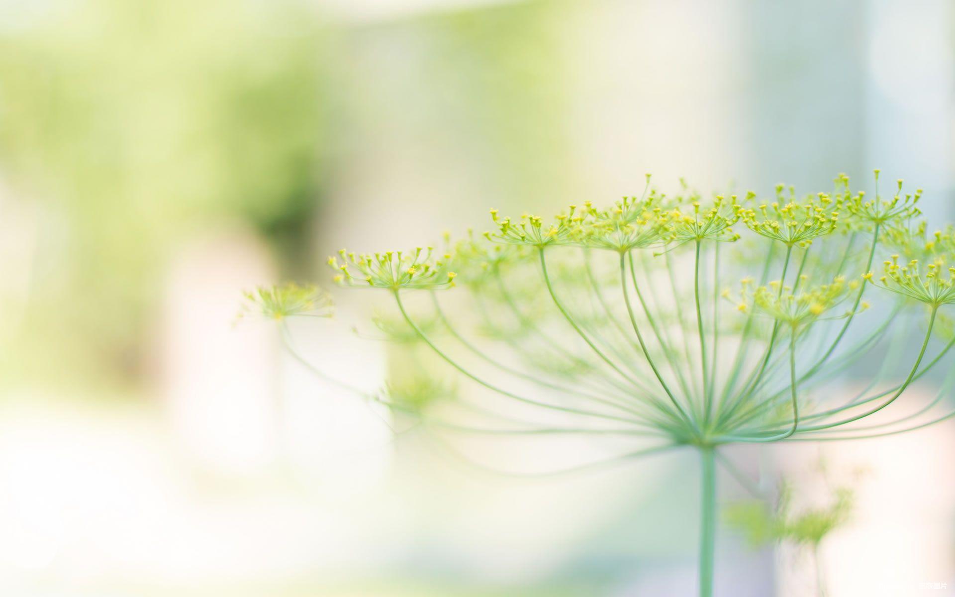 保節(jié)力副作用，服用保節(jié)力注意事項