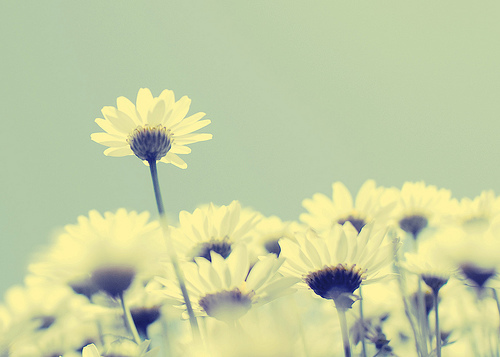 普瑞巴林膠囊不良反應(yīng)，萊瑞克服藥注意