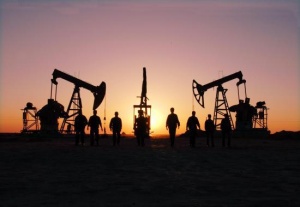 怎樣才能買到金戈，國(guó)產(chǎn)金戈多少錢