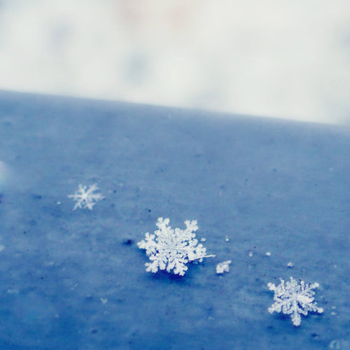 普瑞巴林說明書，普瑞巴林膠囊不良反應