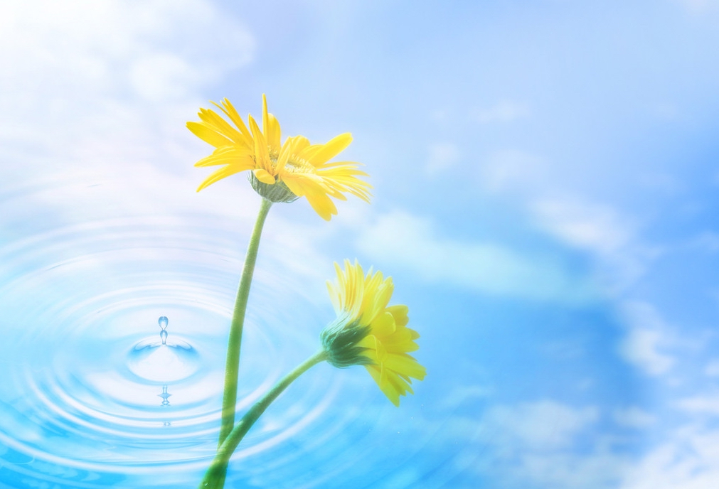 邁之靈片禁忌，邁之靈片效果怎么樣