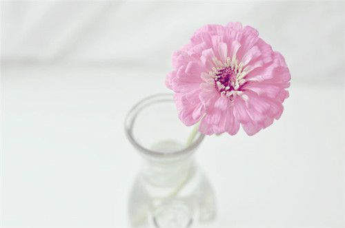 嗎替麥考酚酯膠囊不良反應，嗎替麥考酚酯膠囊注意事項