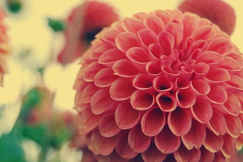 伊索佳副作用，伊索佳一個療程多少盒