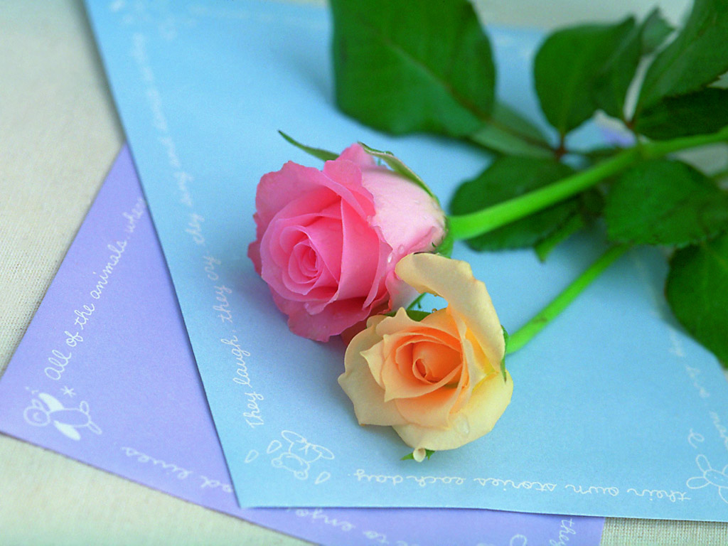 保節力副作用，保節力和鈣片需要一起服用嗎