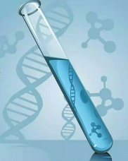 正常人可以吃金戈嗎，陽痿可以用金戈嗎