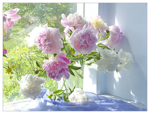 邁之靈片副作用，邁之靈怎么樣