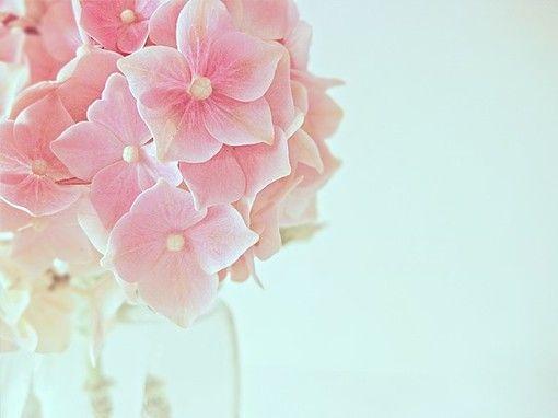 參歸潤燥搽劑使用注意什么，魚鱗病飲食注意什么