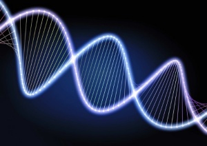 希愛力一粒多少錢，希愛力怎么買