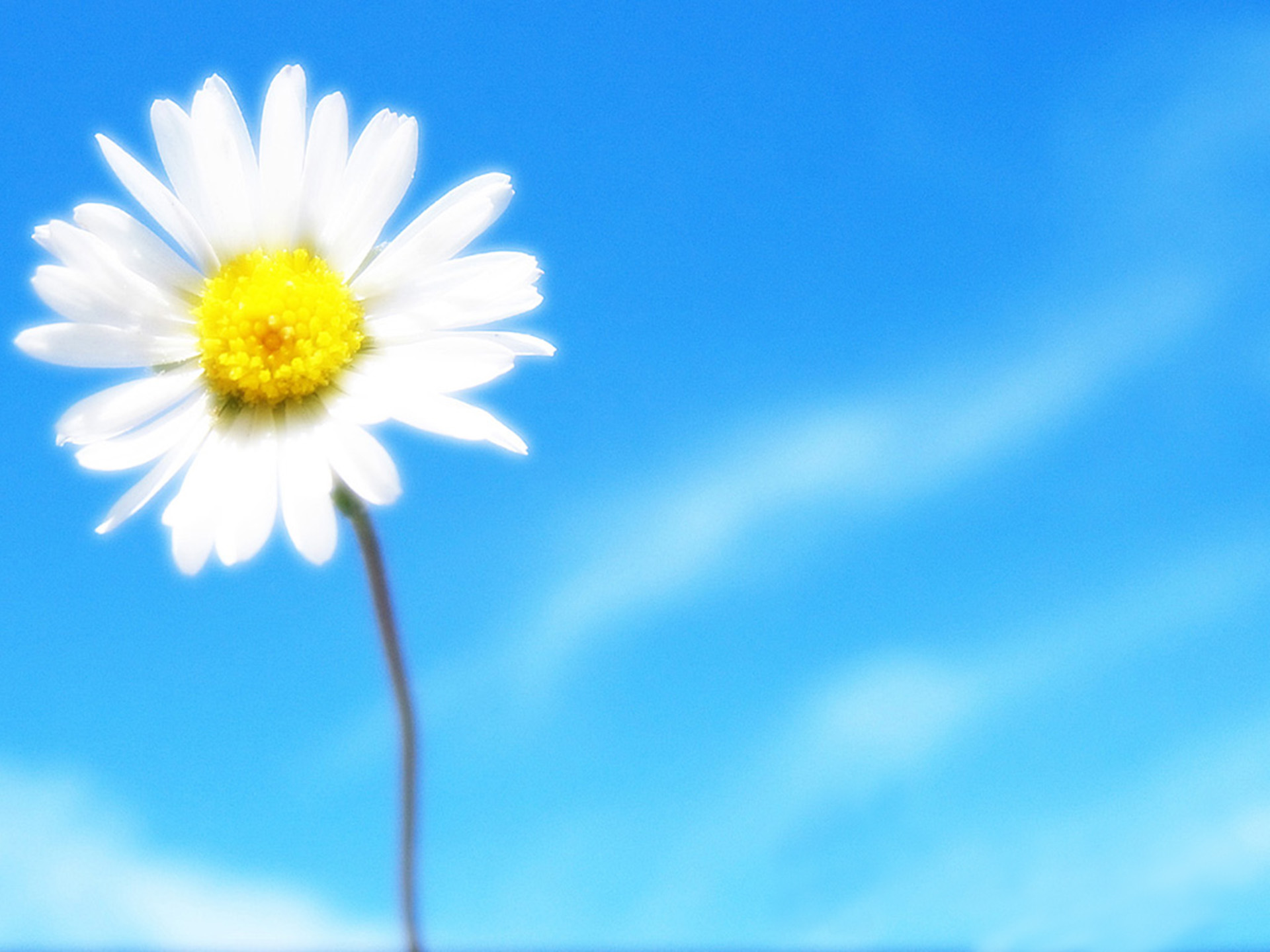 腰椎間盤突出壓迫神經(jīng)腿疼怎么辦，怎么緩解腰間盤突出