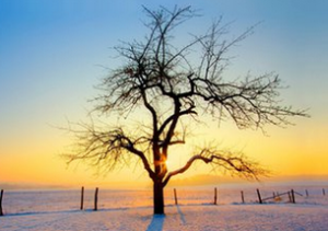 痛風(fēng)病食物，痛風(fēng)吃什么菜