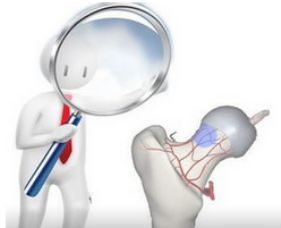 通絡生骨膠囊成分，通絡生骨膠囊療效