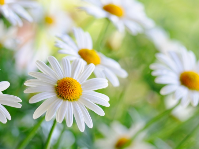 腰椎間盤突出壓迫坐骨神經痛怎么辦，好及施使用注意