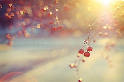 服用保節力注意事項，保節力飲食注意