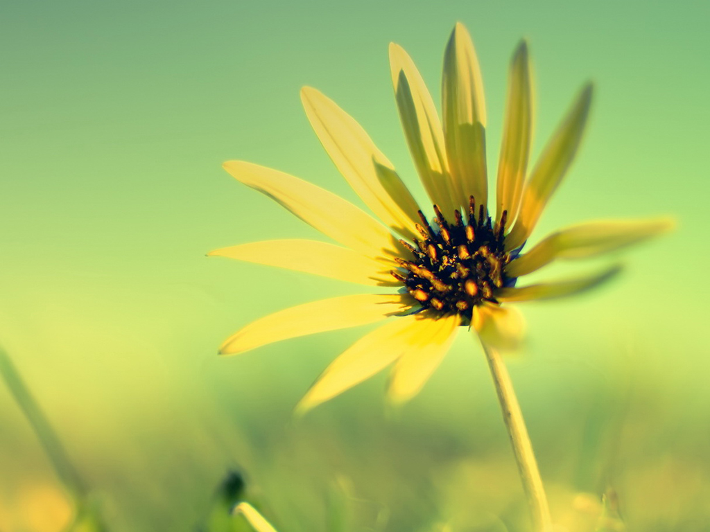 怎么緩解腰間盤突出，肩膀酸痛貼什么膏藥