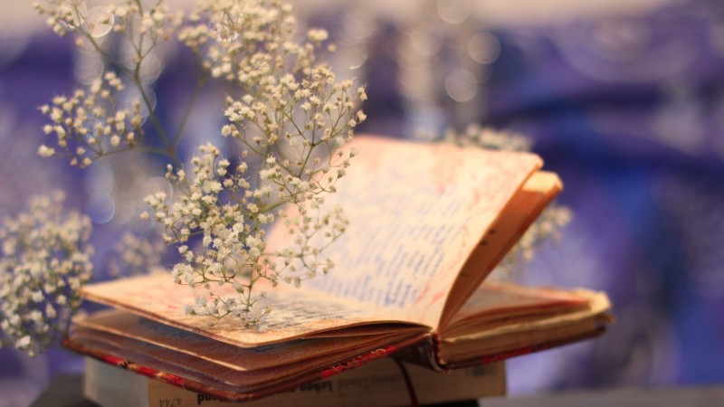 普瑞巴林說明書，萊瑞克服藥注意