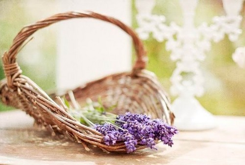 他克莫司膠囊副作用，福美欣不良反應