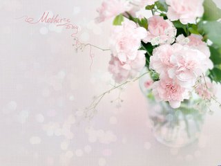 他克莫司膠囊副作用，福美欣不良反應