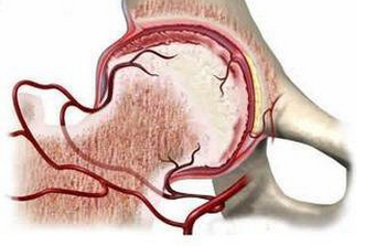 通絡(luò)生骨膠囊成分，通絡(luò)生骨膠囊療效
