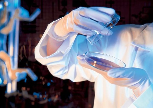 云南白藥金戈藥品，枸櫞酸西地那非國產