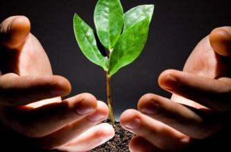 通絡(luò)生骨膠囊多少錢，通絡(luò)生骨膠囊哪有賣