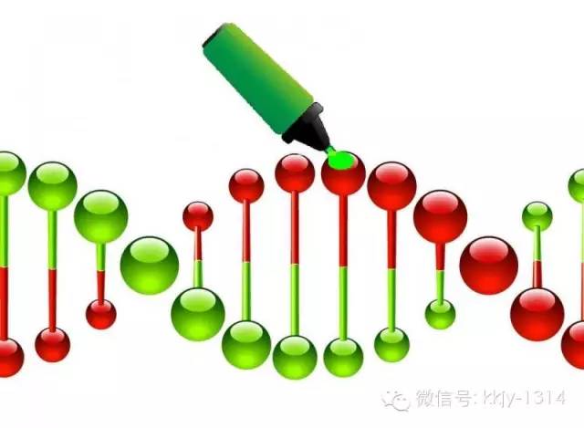 希愛力生產廠家，希愛力多少錢一粒希愛力多少錢一盒