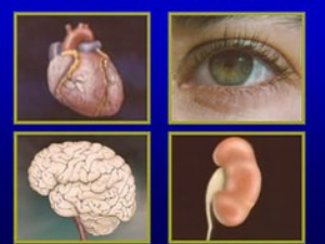 芪明顆粒效果怎么樣，芪明顆粒怎么吃