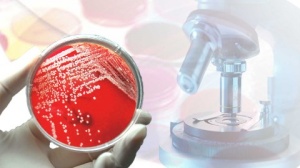 必利勁的功效，有人用過必利勁嗎