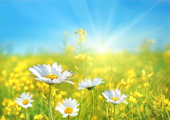 服用伊索佳注意事項，骨關節炎的飲食禁忌 