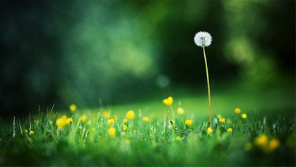 保節力價格，保節力買多有優惠嗎