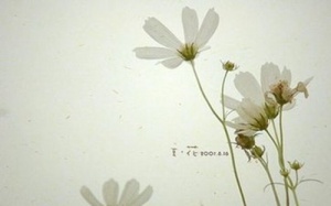 金戈能天天吃嗎，金戈能吃兩片嗎