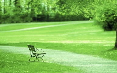 他克莫司膠囊副作用，福美欣不良反應